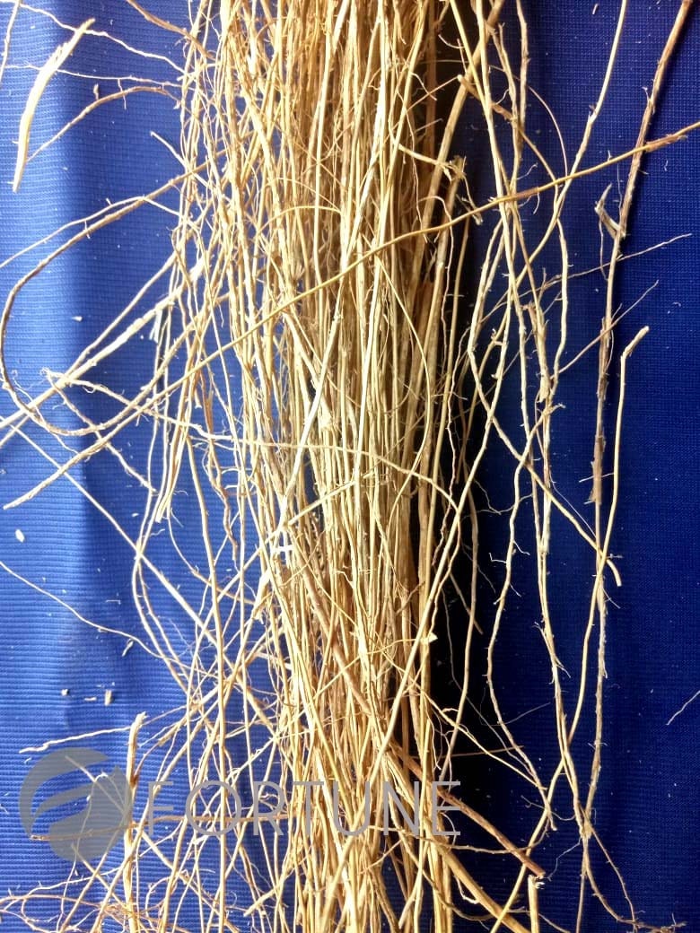 Vetiver roots - Ramacham-Dried VETIVER root, CUSCUS, KHUS Khus Grass