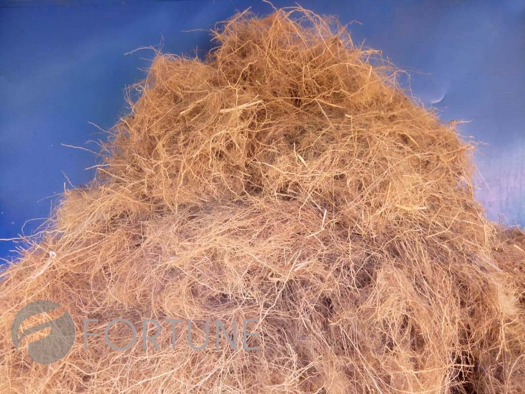 Vetiver roots - Ramacham-Dried VETIVER root, CUSCUS, KHUS Khus Grass